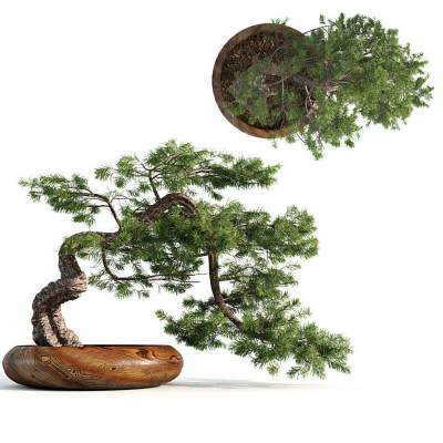 透明玻璃装饰品